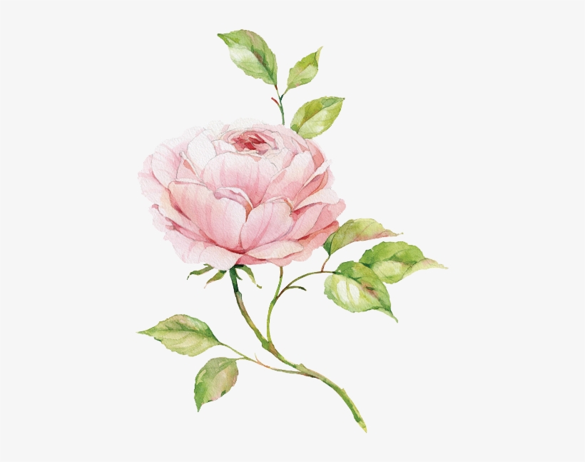 That Unique Rose - Lesser & Pavey Lp91776 Heart Rose Large Tray, transparent png download