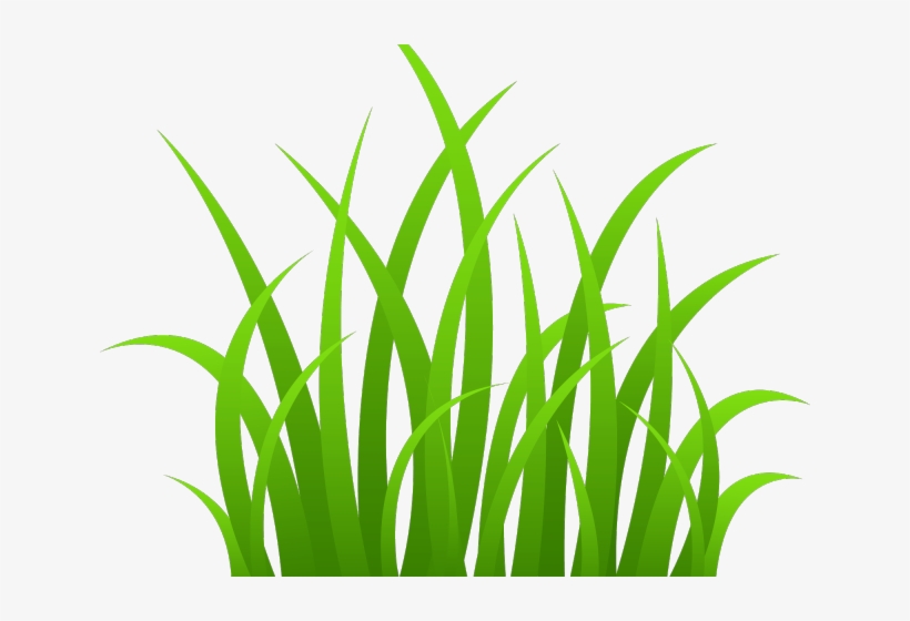 Vector Royalty Free Library Dry Grass Dray Free On - Grass Png Clipart, transparent png download
