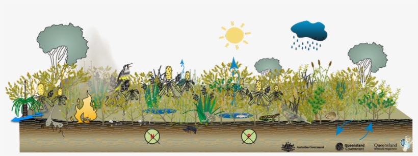 Wet - Dry - Science, transparent png download