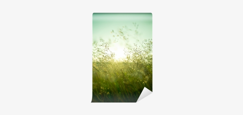 Chroniques Du Chemin De Compostelle, transparent png download