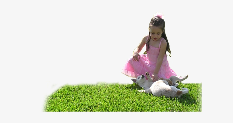 Why - Png People On The Grass, transparent png download