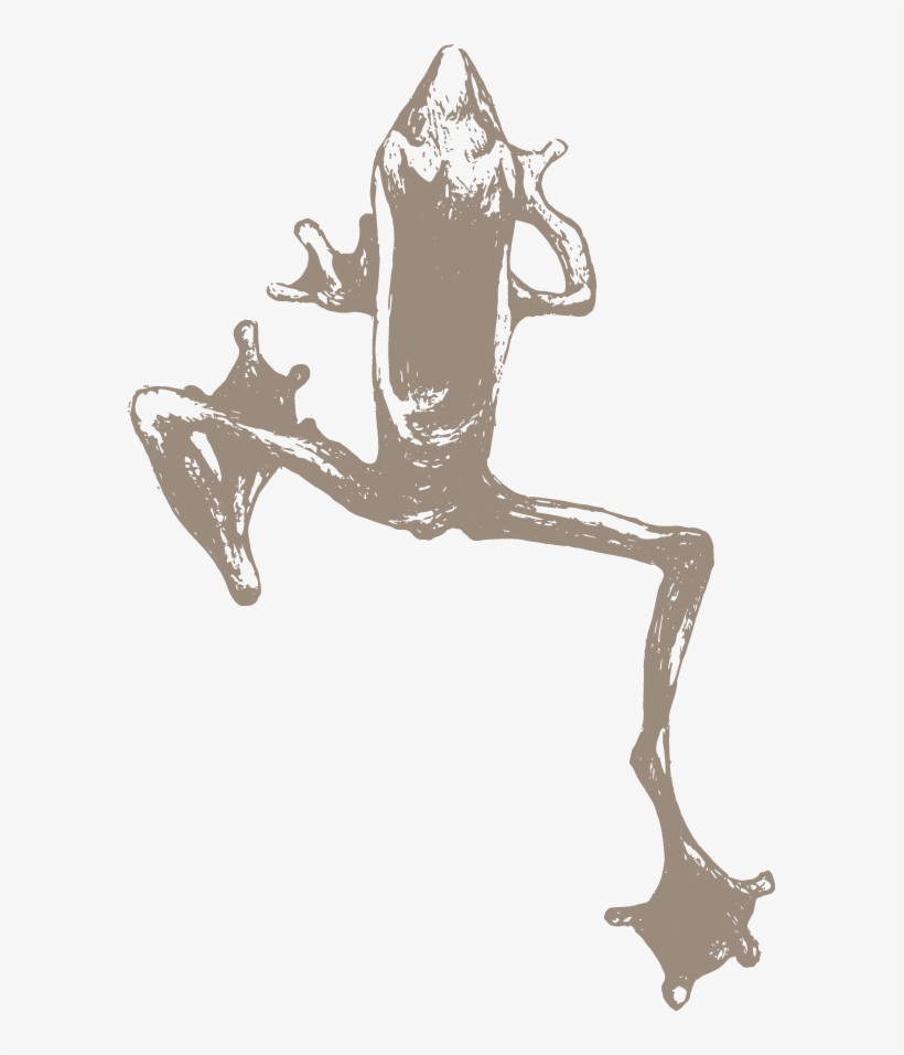Frog-icon - Reedvalley, transparent png download