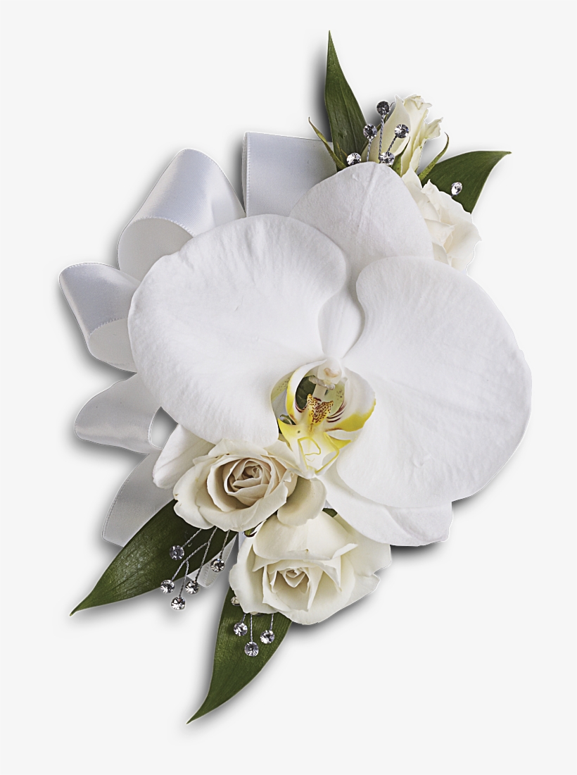 White Wedding Flowers Png - White Phalaenopsis Orchid Corsage, transparent png download