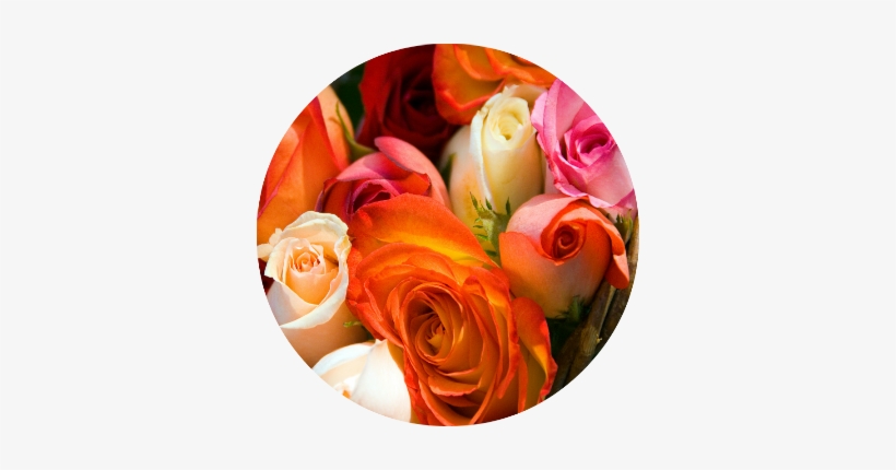 Every Girl Dreams Of Her Perfect Wedding Day Since - Flower, transparent png download