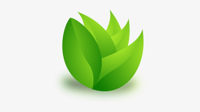Grass Fed Standards - Grass Icon Vector Png, transparent png download