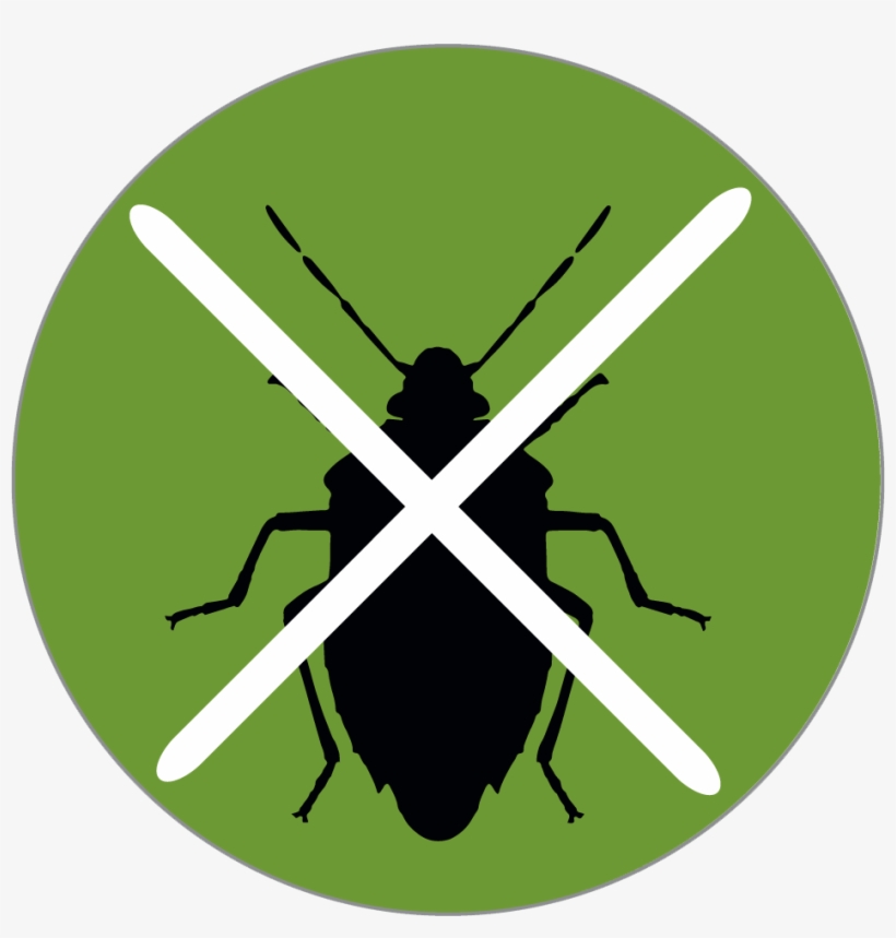 Endophyte Icon - Mercedes Button Repair Kit, transparent png download