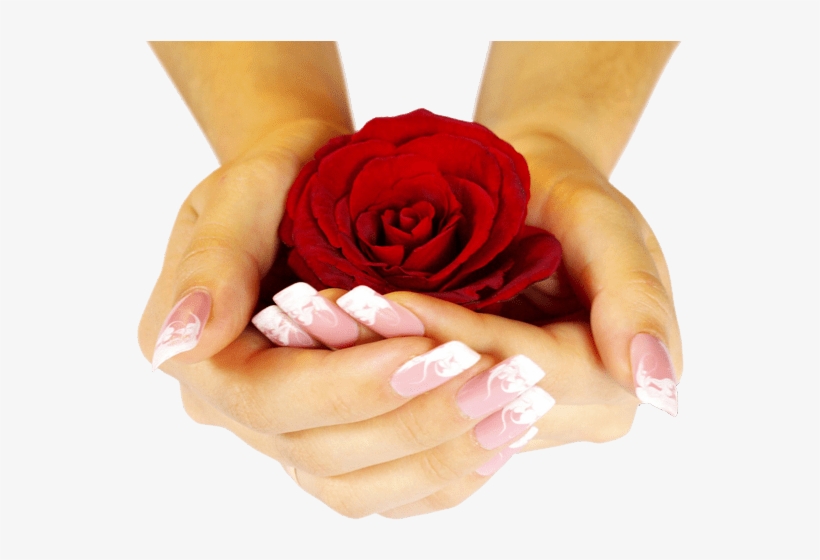 The Result Is A Custom-tailored Set Of Floral Pieces - Rose Day Special Photo Hd, transparent png download