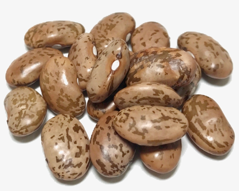 Shady Side Farm - Dry Beans, transparent png download