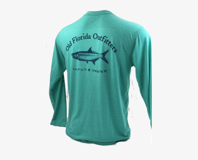 Ofo, transparent png download