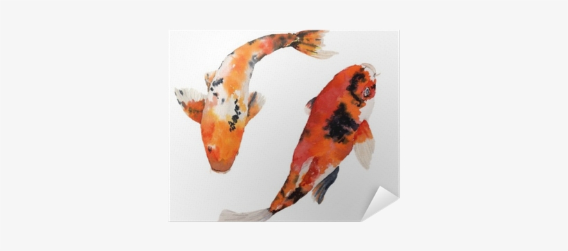 Watercolor Oriental Rainbow Carp Set - Carpe Koi Aquarelle, transparent png download