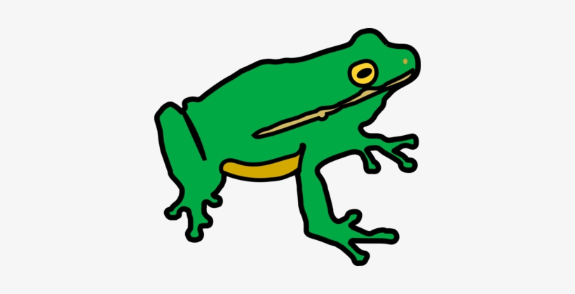 Toad Tree Frog Amphibian Lithobates Clamitans - Public Domain Clipart Frog, transparent png download