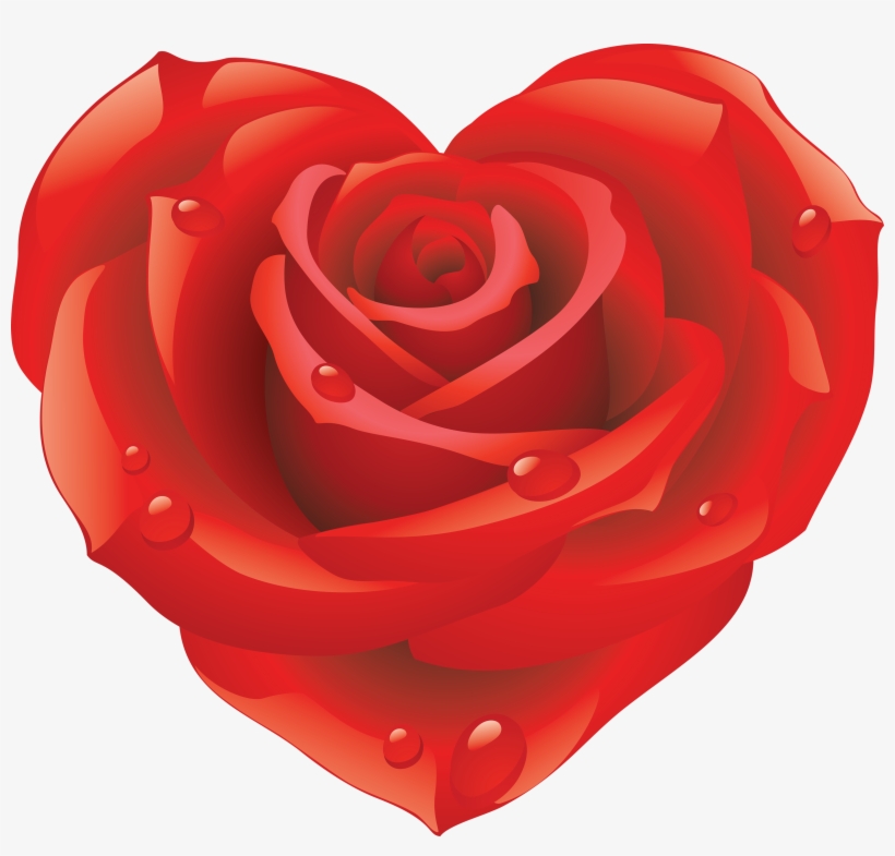 Rose Download, transparent png download