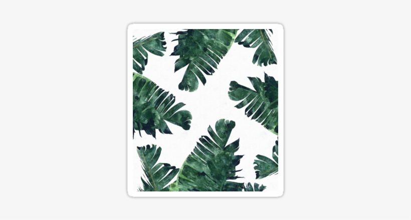 'banana Leaf - White And Green Background, transparent png download