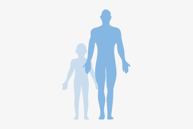 Human Body - Body Of Human Png, transparent png download