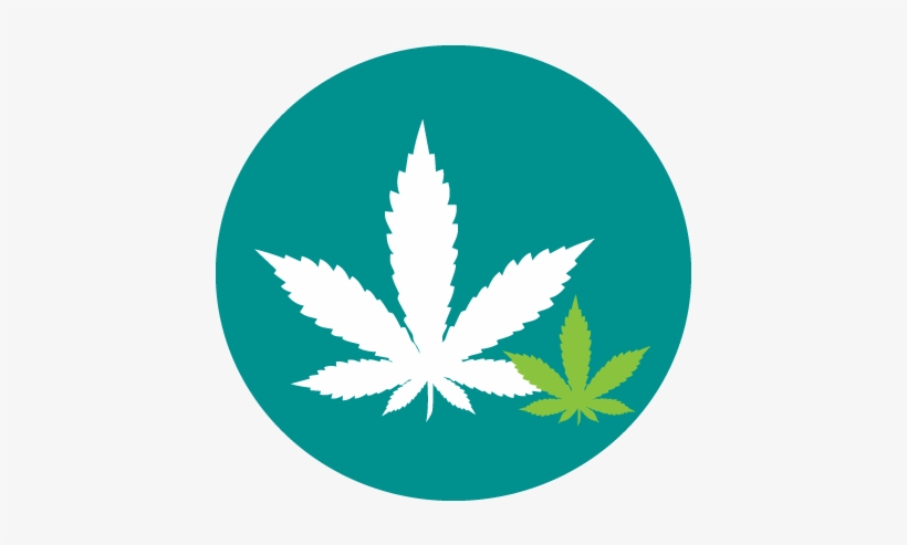 Two Cannabis Leaves Choose How You Use - 4/20 Bunnies #rageon420contest, transparent png download