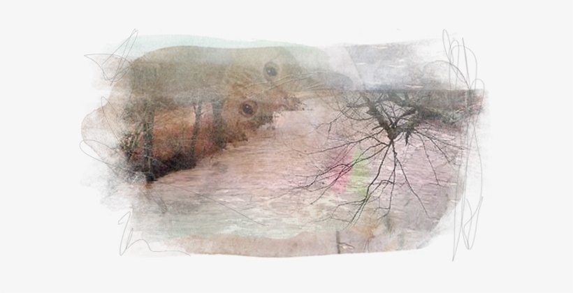 3/19/08 Update, transparent png download