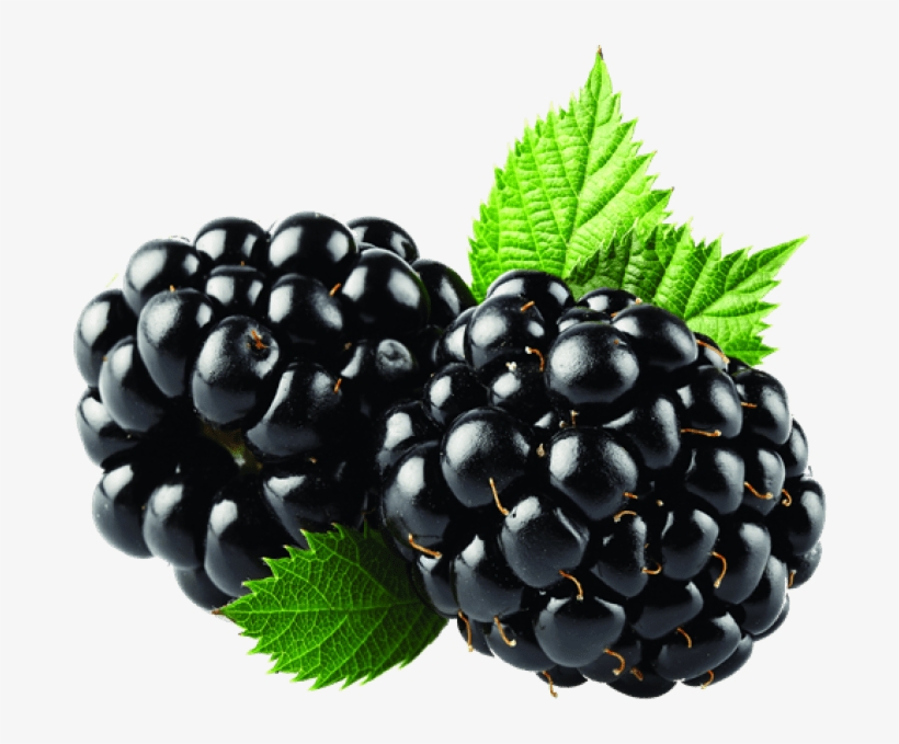 Blackberry Fruit Png Transparent Image - Blackberry Fizz Sticks Arbonne, transparent png download