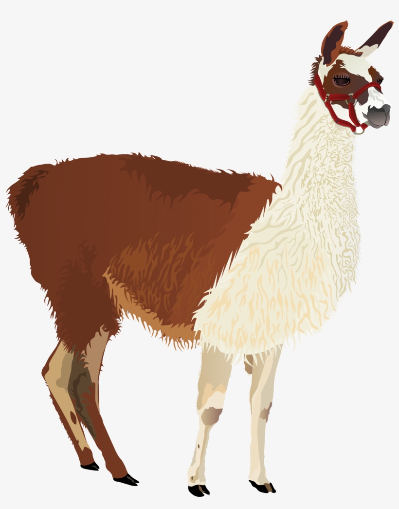 Lmf Llama Lite Mineral/vitamin Supplement Pellet For - Alpaca Png, transparent png download