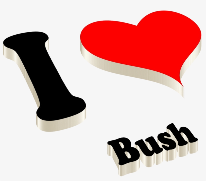 Bush Png Photo - Golu Name, transparent png download