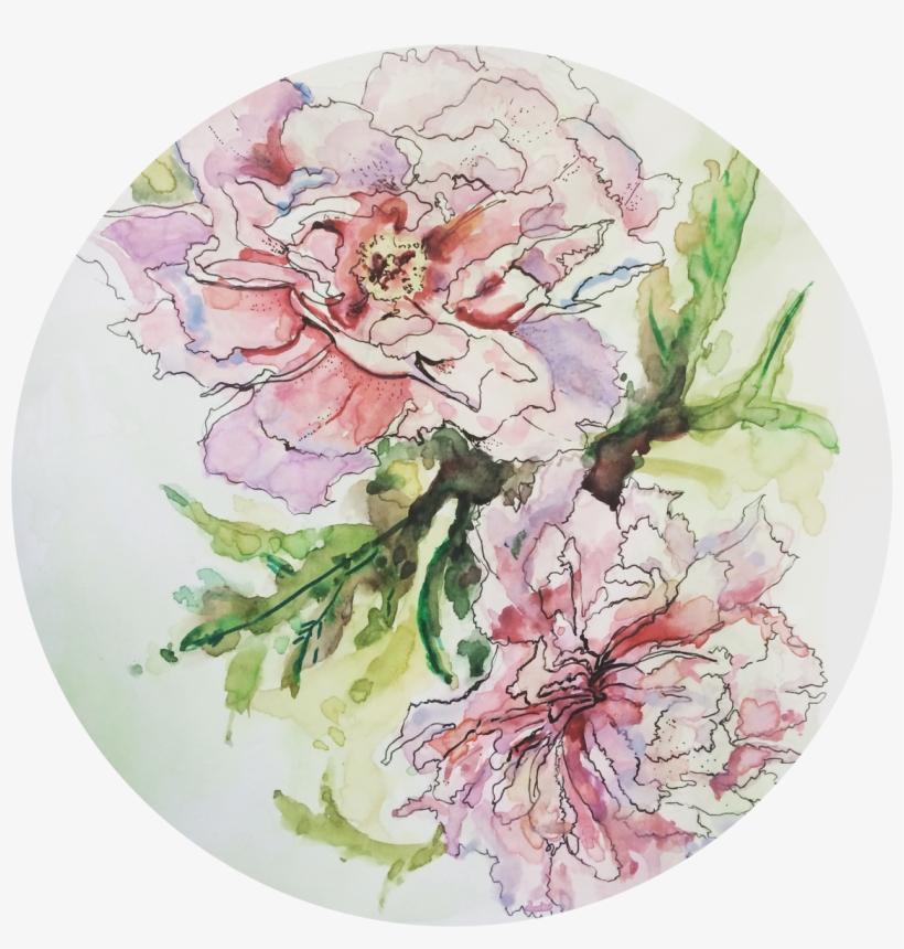 Behind The Watercolour - Common Peony, transparent png download