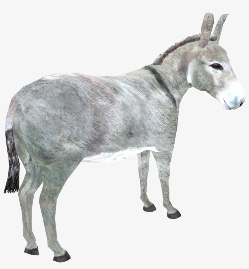 Image Kingcheetah Png Zt - Zoo Tycoon 2, transparent png download