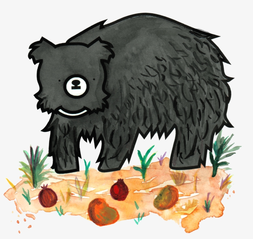 Bear, transparent png download