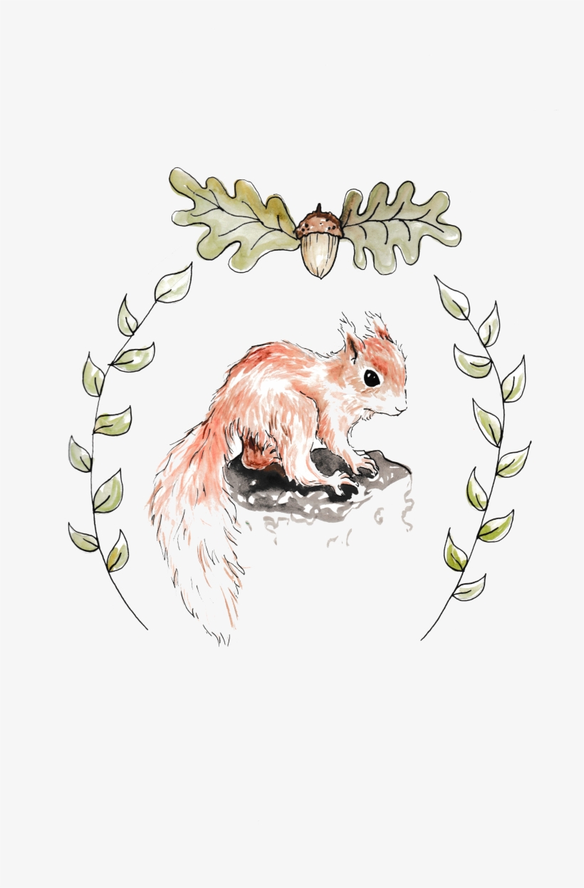 Baby Squirrel - Squirrel, transparent png download