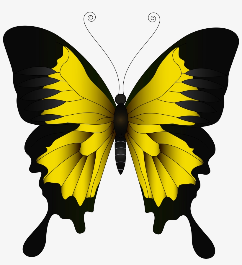 Green Butterfly, transparent png download