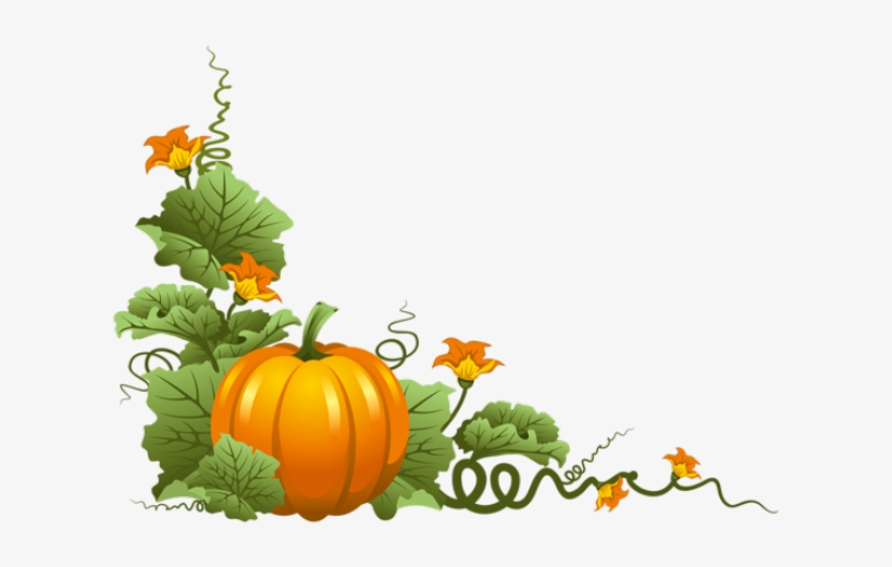 Vine Clipart Thanksgiving - Pumpkin Clip Art, transparent png download