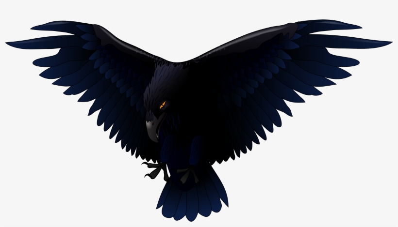 Raven Png, transparent png download