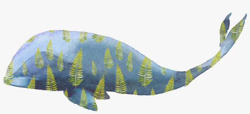 Watercolor Painting Whale Illustration - Акварельные Переводные Тату Miami Tattoos Whales, 1, transparent png download