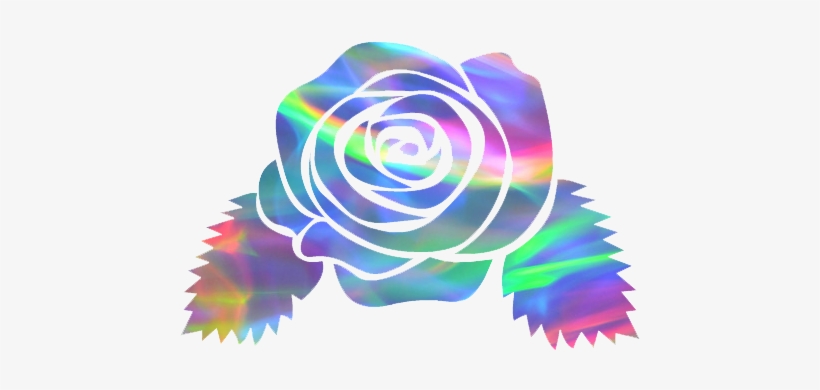 Flower Discovered By Lana Rose On We Heart It Banner - Flower Aesthetic Png, transparent png download