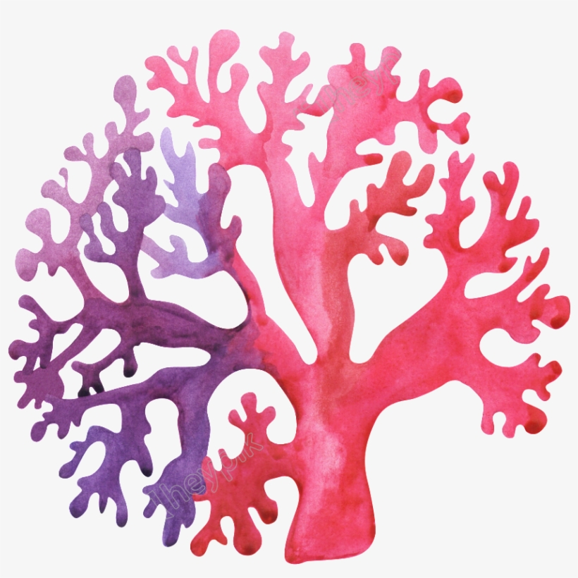 Hand-painted Exotic Coral Png Transparent - Portable Network Graphics, transparent png download