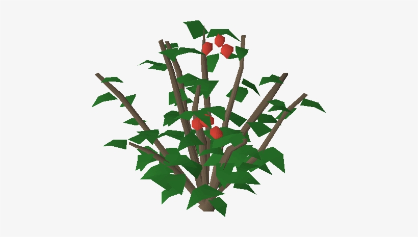Redberry Bush - Berry Bushes Clipaart, transparent png download