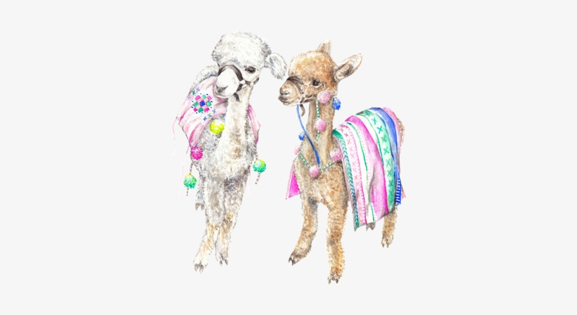Colorful Baby Alpacas Llamas India Morocco Ltd Edition - Animal Boho, transparent png download