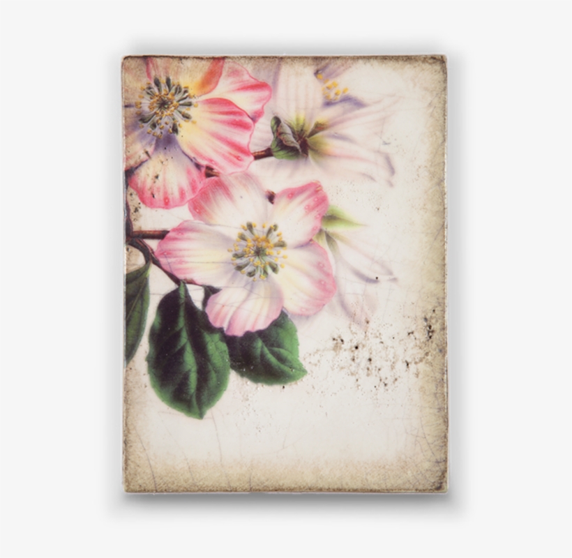 Springtime In Paris, transparent png download