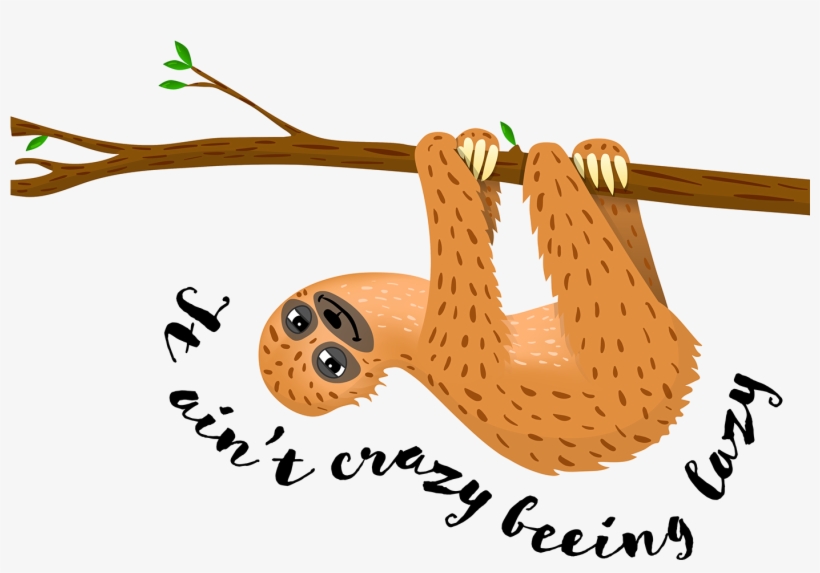 Finished Artwork Made With Illustrator, Available On - Sloth, transparent png download