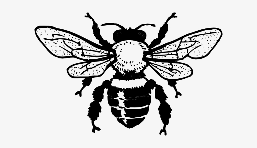 Black Bee Svg Clip Arts 600 X 394 Px, transparent png download