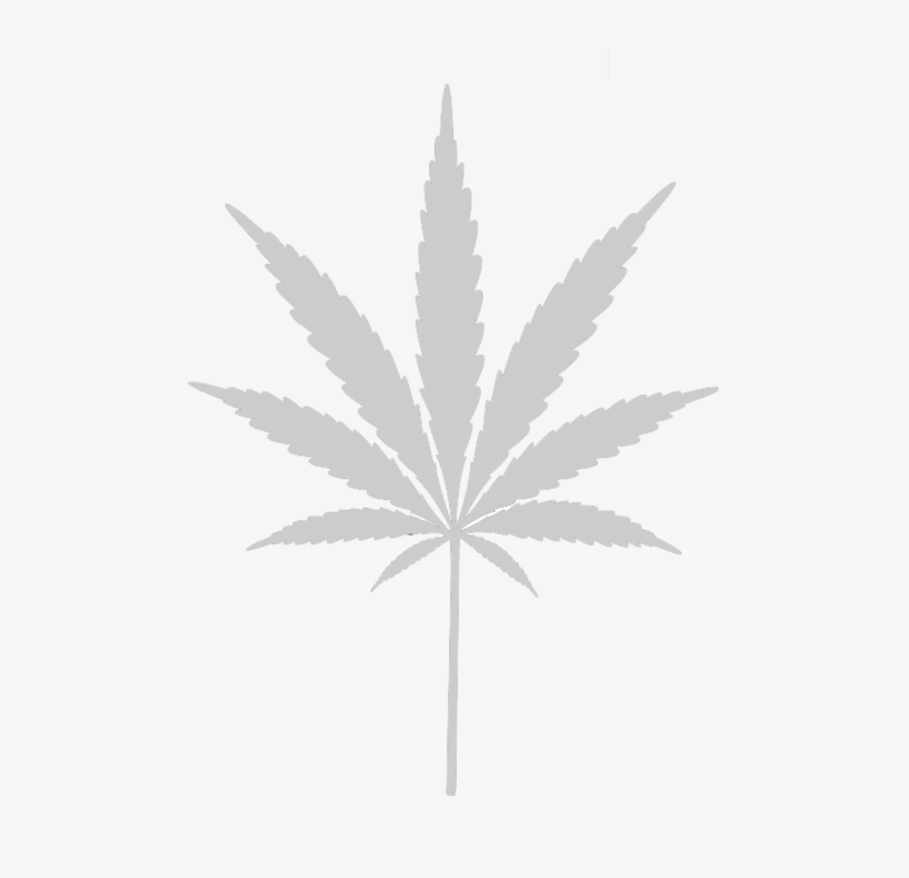 White Weed Leaf Png - Cannakids Logo, transparent png download
