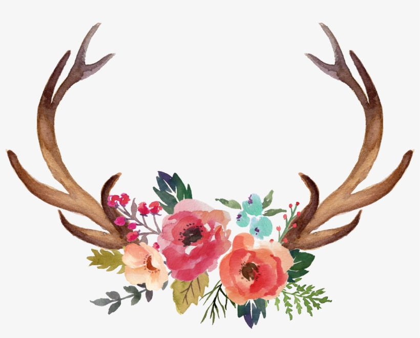 Vector Freeuse Download Deer Antler Moose Flower Clip, transparent png download