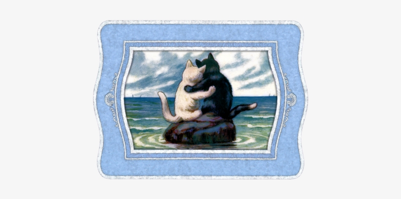 Cat,white - Men Teesapple All I Need Is Love... K Tshirt/hoodies/sweatshirt, transparent png download