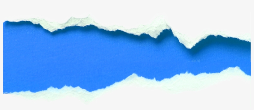 Film Production South Florida - Sea, transparent png download