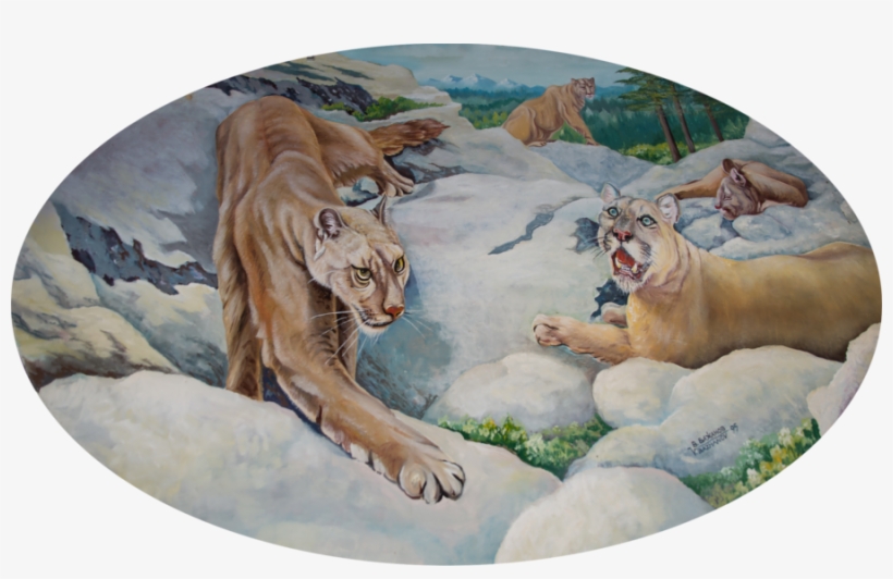 Lions, - Adopt - Detroit Lions, transparent png download