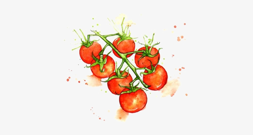 Juice Cherry Tomato Watercolor Painting Vegetable Illustration - Cherry Tomato Illustration, transparent png download