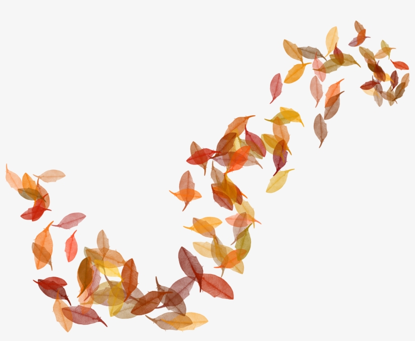 Berina «0 10722e 224b0 » На Яндекс - Autumn, transparent png download