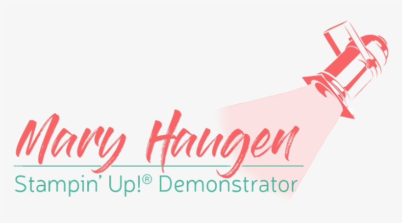 That's A Wrap For Today - Rina Hugo - Sy Naam Is Jesus (cd), transparent png download