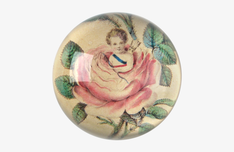 Moss Rose & Cupid - Plate, transparent png download