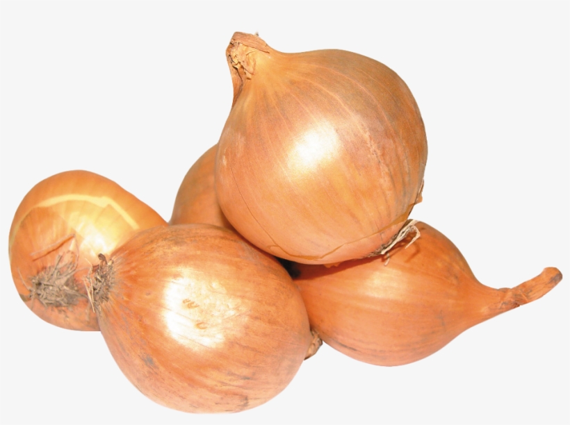 Onion Png Image2 - Onion, transparent png download