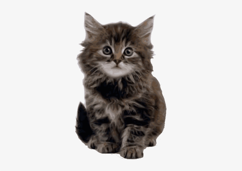 Survey Kitten - Happy Fathers Day Kitten, transparent png download