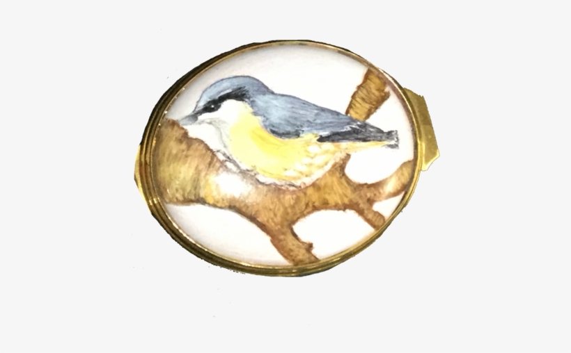 Nuthatch- Limited Edition 1 Of - Mountain Bluebird, transparent png download